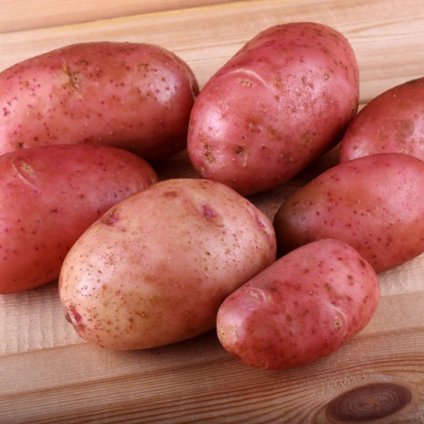 POTATOES MID-RIPENING TABLE LEL